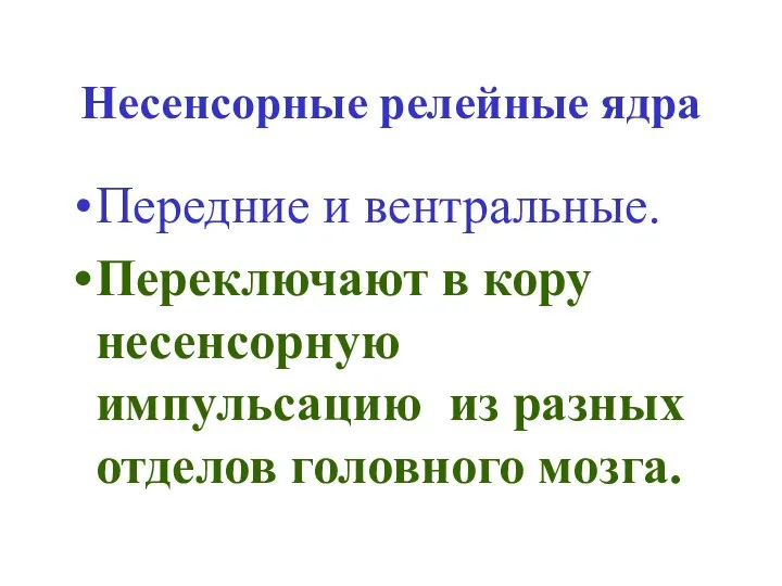 Несенсорные релейные ядра Передние и вентральные. Переключают в кору несенсорную импульсацию из разных отделов головного мозга.