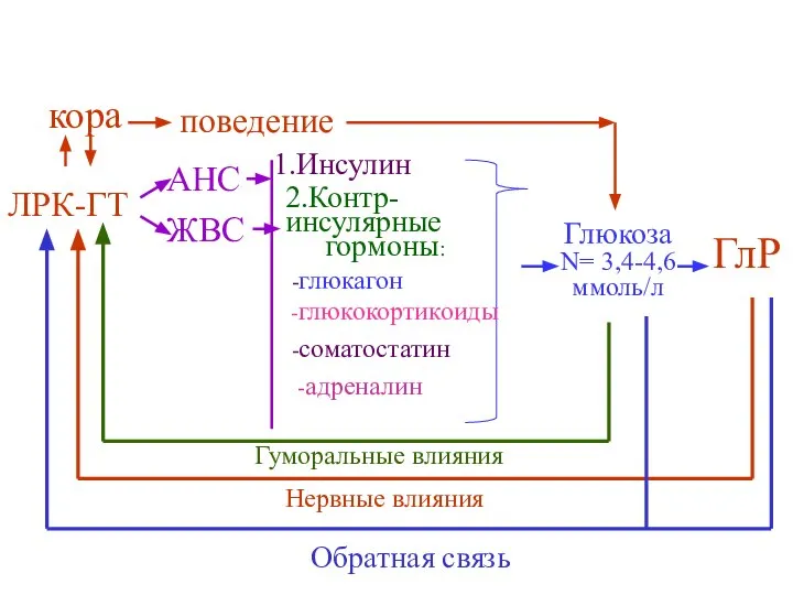 поведение кора ЛРК-ГТ Глюкоза N= 3,4-4,6 ммоль/л ГлР АНС ЖВС Обратная