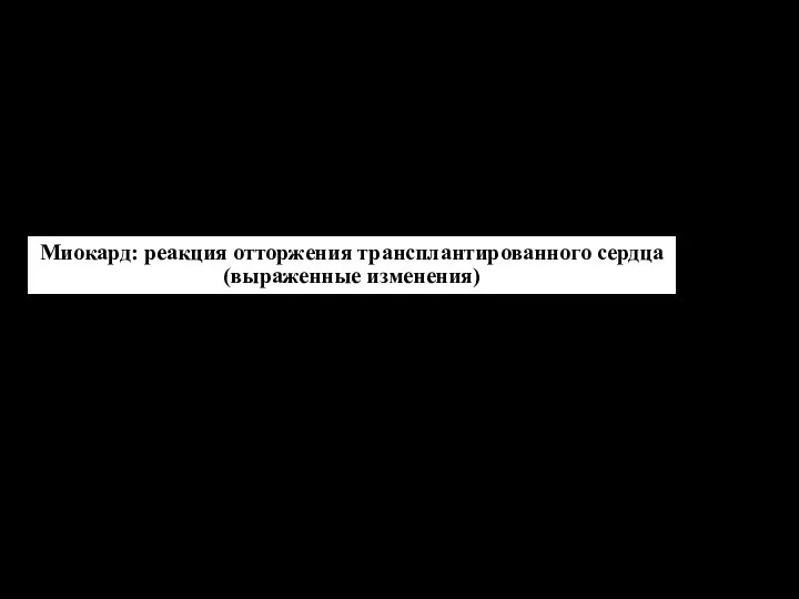 Особые типы АЗТ Контактная аллергия Миокард: реакция отторжения трансплантированного сердца (выраженные изменения) Реакции туберкулинового типа