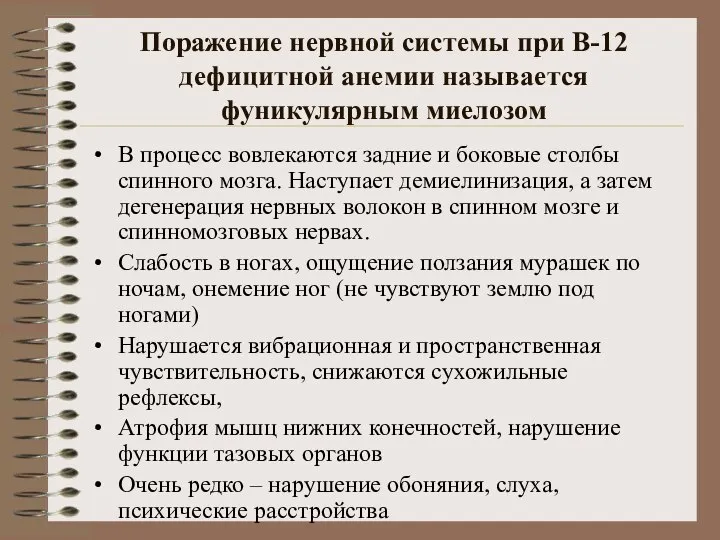 Поражение нервной системы при В-12 дефицитной анемии называется фуникулярным миелозом В