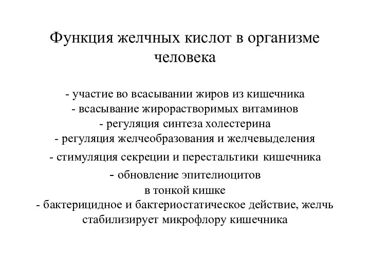 Функция желчных кислот в организме человека - участие во всасывании жиров