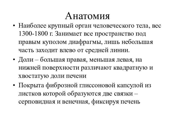 Анатомия Наиболее крупный орган человеческого тела, вес 1300-1800 г. Занимает все