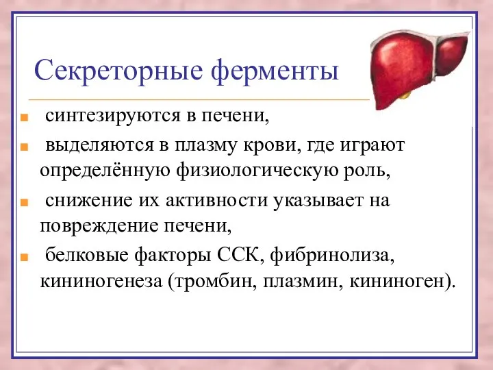 Секреторные ферменты синтезируются в печени, выделяются в плазму крови, где играют