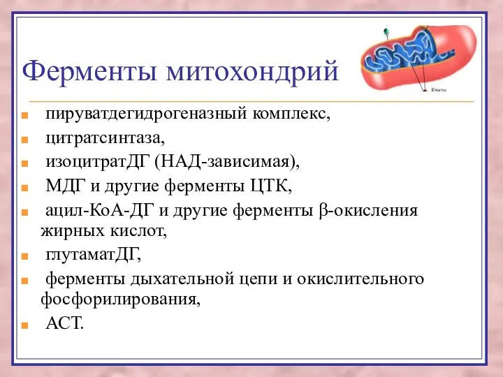 Ферменты митохондрий пируватдегидрогеназный комплекс, цитратсинтаза, изоцитратДГ (НАД-зависимая), МДГ и другие ферменты