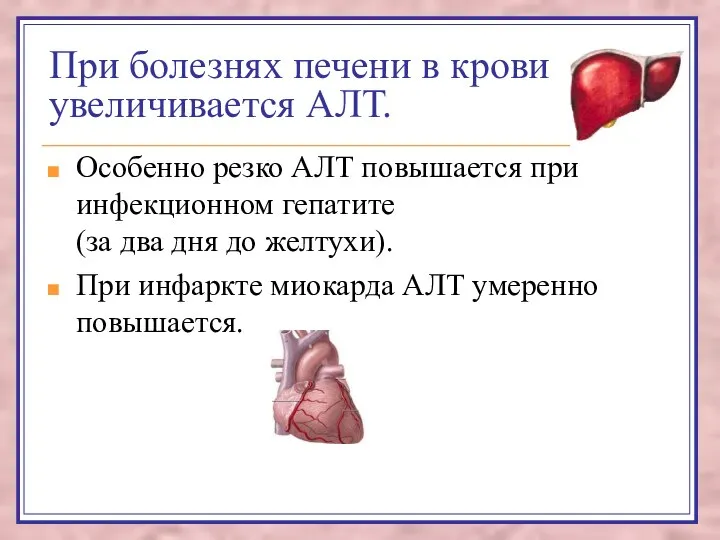 При болезнях печени в крови увеличивается АЛТ. Особенно резко АЛТ повышается