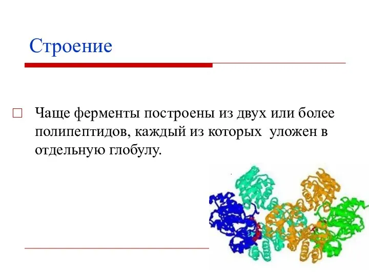 Строение Чаще ферменты построены из двух или более полипептидов, каждый из которых уложен в отдельную глобулу.