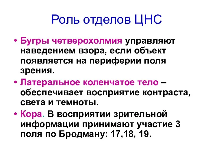 Роль отделов ЦНС Бугры четверохолмия управляют наведением взора, если объект появляется