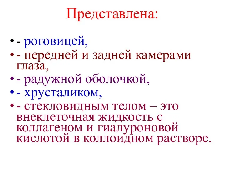 Представлена: - роговицей, - передней и задней камерами глаза, - радужной