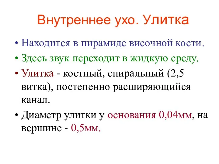 Внутреннее ухо. Улитка Находится в пирамиде височной кости. Здесь звук переходит