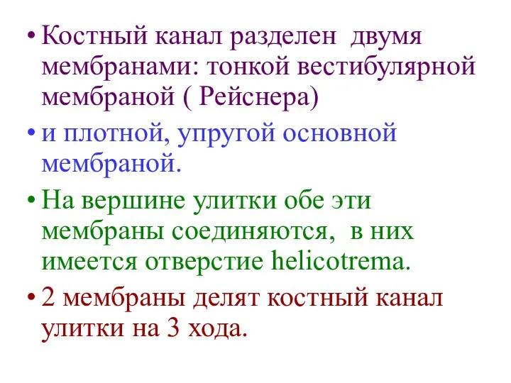 Костный канал разделен двумя мембранами: тонкой вестибулярной мембраной ( Рейснера) и