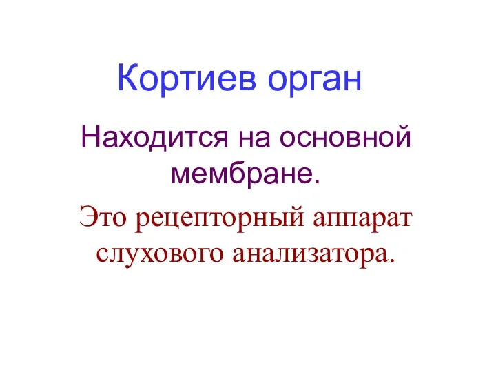 Находится на основной мембране. Это рецепторный аппарат слухового анализатора. Кортиев орган