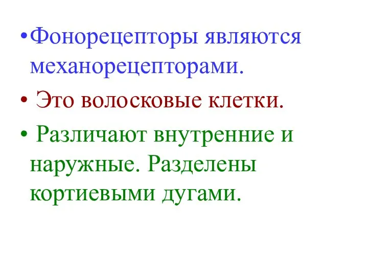 Фонорецепторы являются механорецепторами. Это волосковые клетки. Различают внутренние и наружные. Разделены кортиевыми дугами.