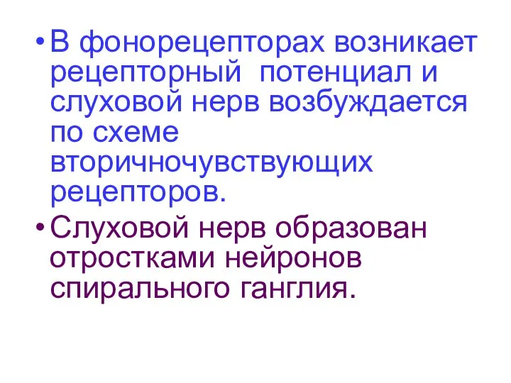 В фонорецепторах возникает рецепторный потенциал и слуховой нерв возбуждается по схеме