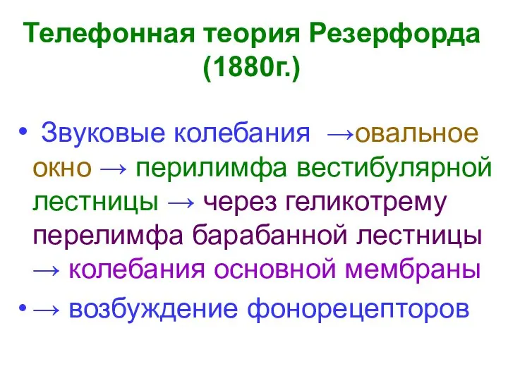 Телефонная теория Резерфорда (1880г.) Звуковые колебания →овальное окно → перилимфа вестибулярной