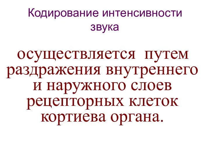 Кодирование интенсивности звука осуществляется путем раздражения внутреннего и наружного слоев рецепторных клеток кортиева органа.