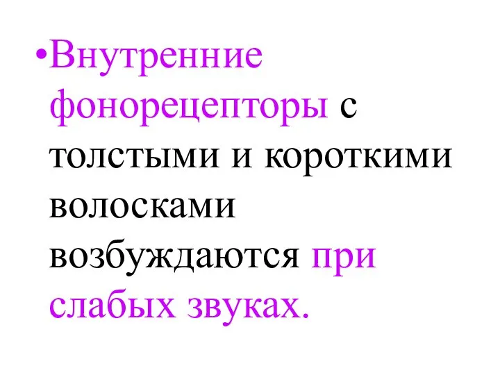 Внутренние фонорецепторы с толстыми и короткими волосками возбуждаются при слабых звуках.