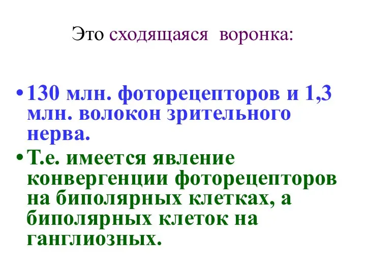 Это сходящаяся воронка: 130 млн. фоторецепторов и 1,3 млн. волокон зрительного