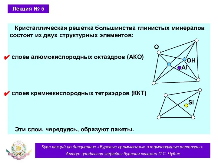 Курс лекций по дисциплине «Буровые промывочные и тампонажные растворы». Автор: профессор