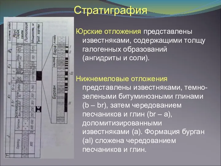 Стратиграфия Юрские отложения представлены известняками, содержащими толщу галогенных образований (ангидриты и