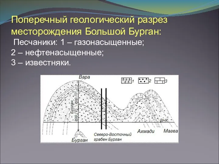 Поперечный геологический разрез месторождения Большой Бурган: Песчаники: 1 – газонасыщенные; 2 – нефтенасыщенные; 3 – известняки.