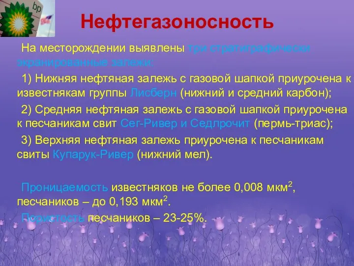 Нефтегазоносность На месторождении выявлены три стратиграфически экранированные залежи: 1) Нижняя нефтяная