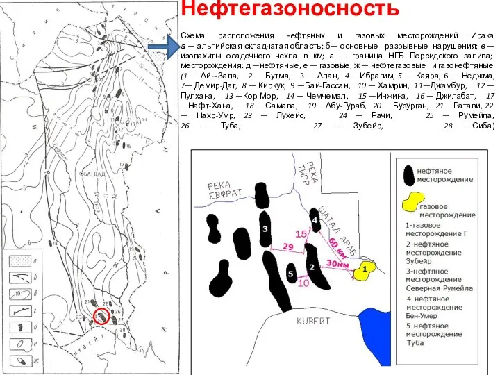 Нефтегазоносность Схема расположения нефтяных и газовых месторождений Ирака а — альпийская