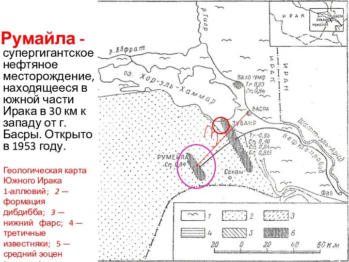 Румайла - супергигантское нефтяное месторождение,находящееся в южной части Ирака в 30