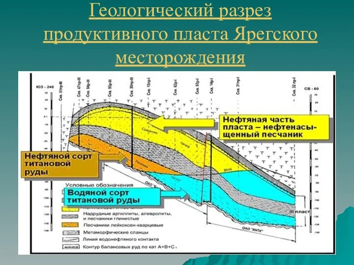 Геологический разрез продуктивного пласта Ярегского месторождения