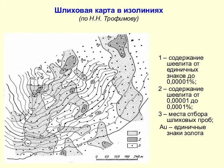 Шлиховая карта в изолиниях (по Н.Н. Трофимову) 1 – содержание шеелита