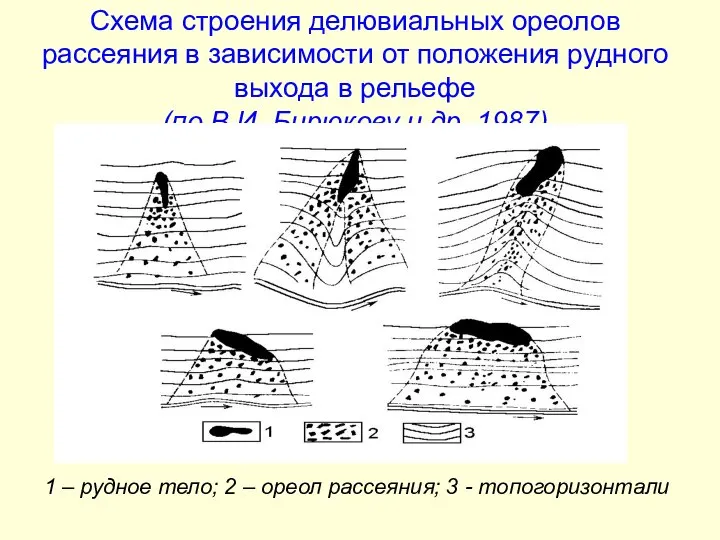 Схема строения делювиальных ореолов рассеяния в зависимости от положения рудного выхода