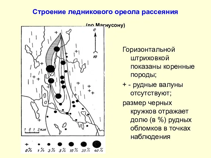 Строение ледникового ореола рассеяния (по Магнусону) Горизонтальной штриховкой показаны коренные породы;