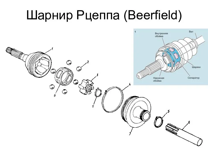 Шарнир Рцеппа (Beerfield)