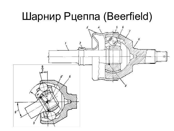 Шарнир Рцеппа (Beerfield)