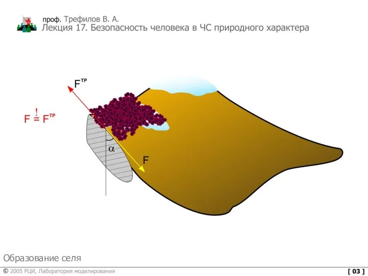 Образование селя