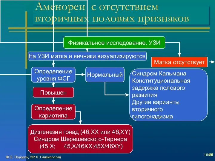 © О. Погодин, 2010. Гинекология © О. Погодин, 2010. Гинекология /86