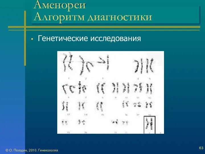 Аменореи Алгоритм диагностики Генетические исследования © О. Погодин, 2010. Гинекология