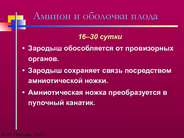 © О. Погодин, 2003 Амнион и оболочки плода 16–30 сутки Зародыш