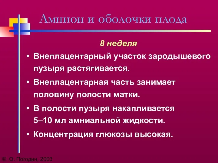 © О. Погодин, 2003 Амнион и оболочки плода 8 неделя Внеплацентарный