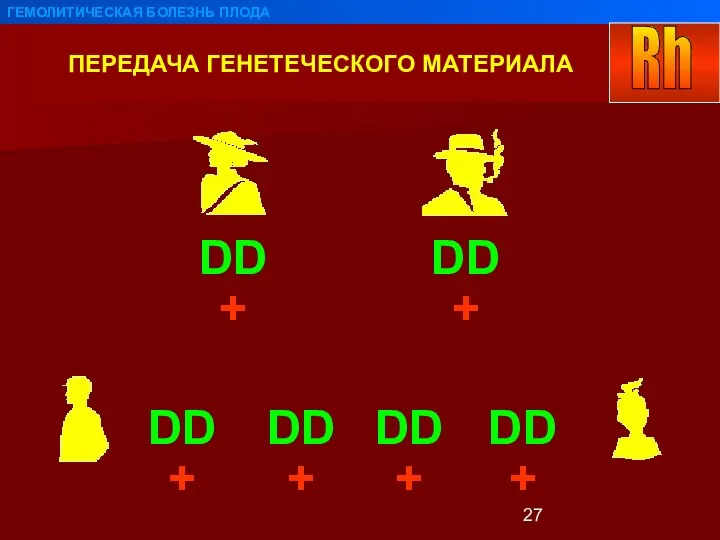 ПЕРЕДАЧА ГЕНЕТЕЧЕСКОГО МАТЕРИАЛА ГЕМОЛИТИЧЕСКАЯ БОЛЕЗНЬ ПЛОДА DD DD DD DD DD