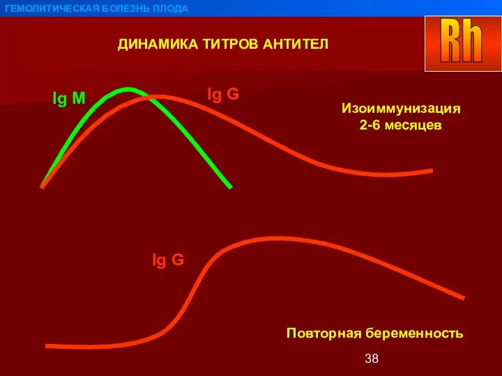 ДИНАМИКА ТИТРОВ АНТИТЕЛ ГЕМОЛИТИЧЕСКАЯ БОЛЕЗНЬ ПЛОДА Ig M Ig G Ig