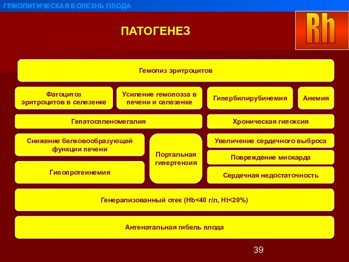 ПАТОГЕНЕЗ ГЕМОЛИТИЧЕСКАЯ БОЛЕЗНЬ ПЛОДА Гемолиз эритроцитов Усиление гемопоэза в печени и