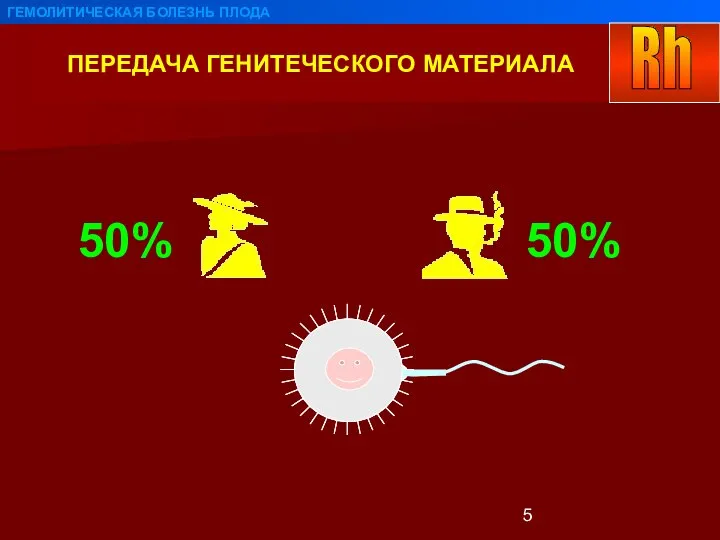 ПЕРЕДАЧА ГЕНИТЕЧЕСКОГО МАТЕРИАЛА ГЕМОЛИТИЧЕСКАЯ БОЛЕЗНЬ ПЛОДА 50% 50%