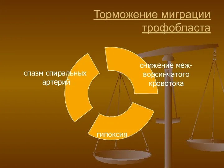 Торможение миграции трофобласта