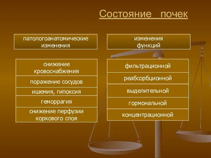 Состояние почек патологоанатомические изменения изменения функций снижение кровоснабжения поражение сосудов ишемия,