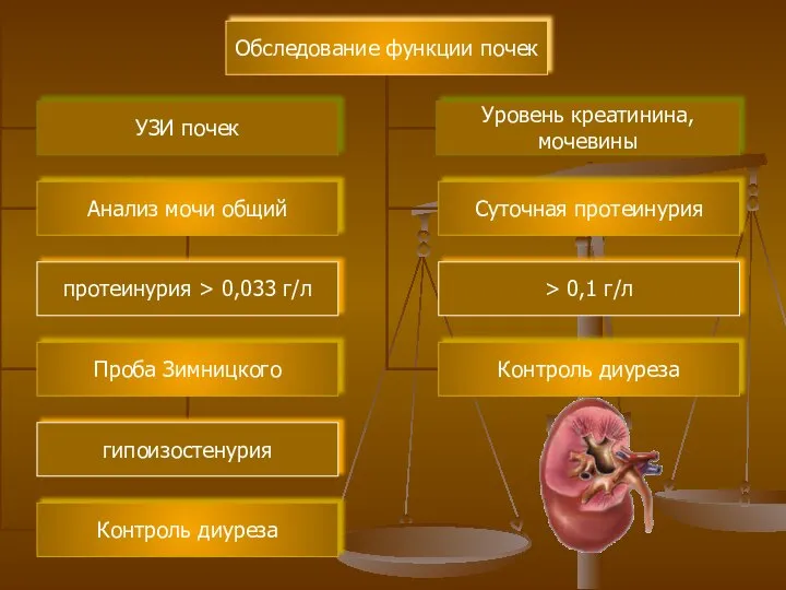 Обследование функции почек Анализ мочи общий Суточная протеинурия Проба Зимницкого протеинурия