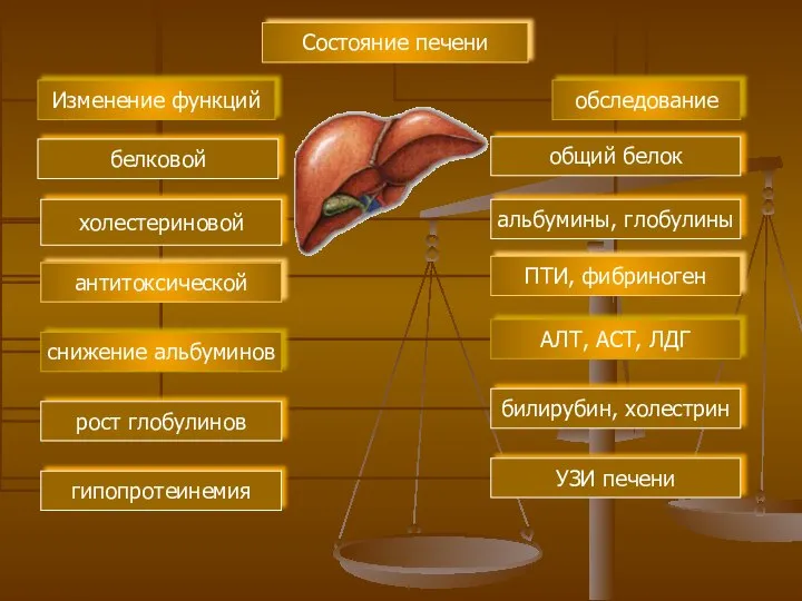 Состояние печени Изменение функций обследование белковой холестериновой антитоксической снижение альбуминов рост