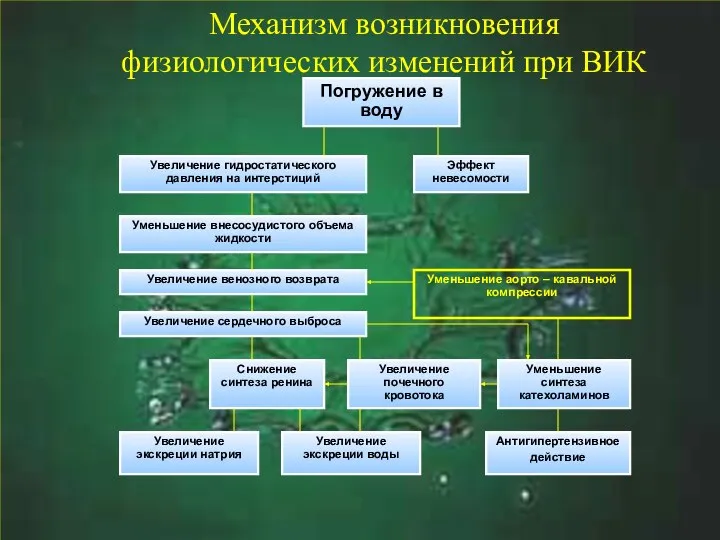 Механизм возникновения физиологических изменений при ВИК Погружение в воду Увеличение гидростатического