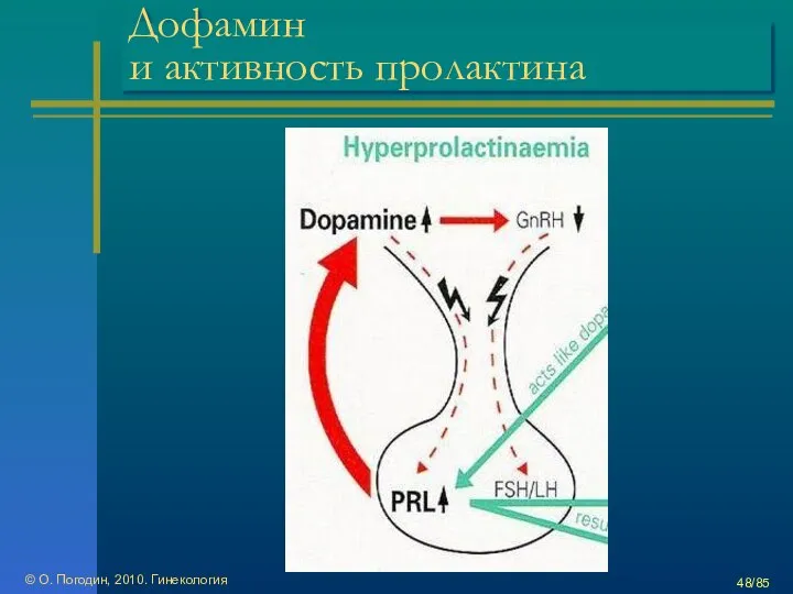 © О. Погодин, 2010. Гинекология /85 Дофамин и активность пролактина