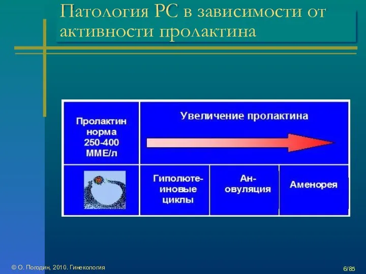 © О. Погодин, 2010. Гинекология /85 Патология РС в зависимости от активности пролактина