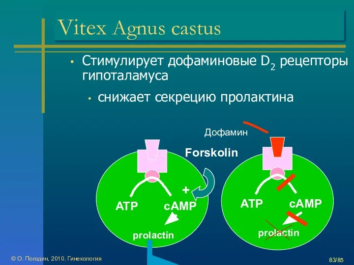 © О. Погодин, 2010. Гинекология /85 Vitex Agnus castus Стимулирует дофаминовые